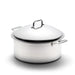 12 Quart Stock Pot