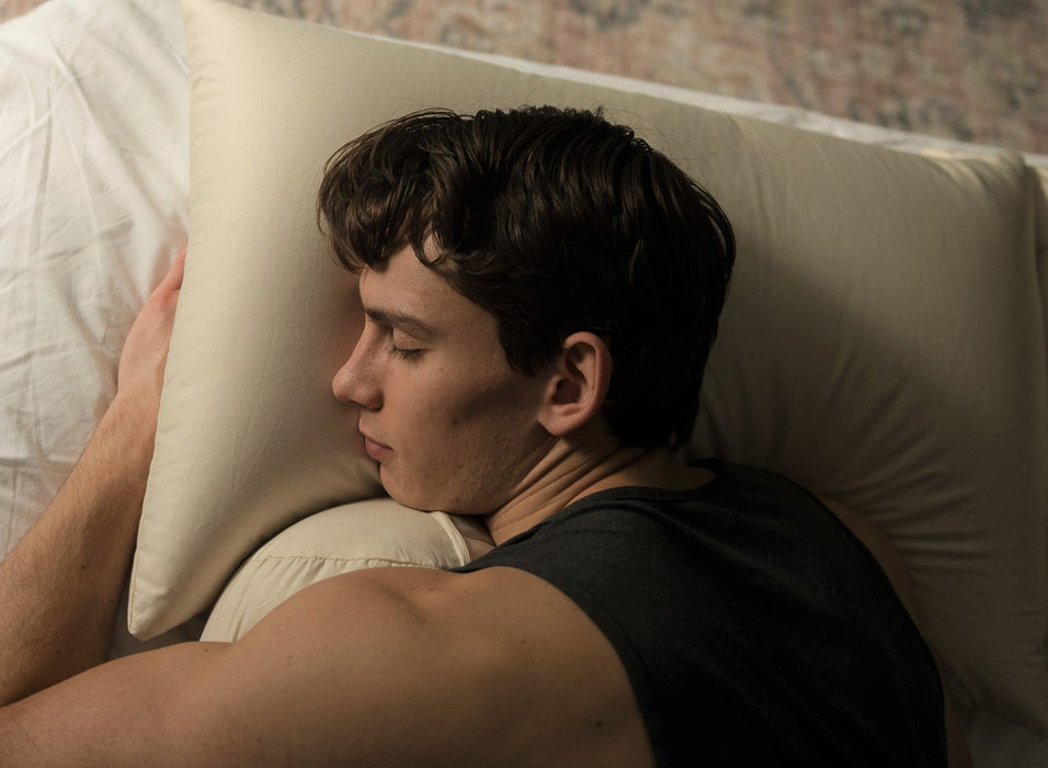 Organic Buckwheat Hull Sleep Pillow