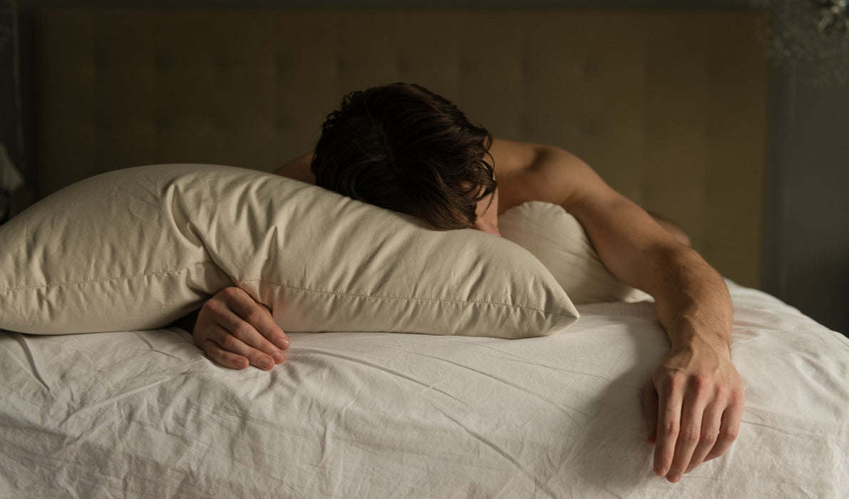 Organic Buckwheat Hull Sleep Pillow