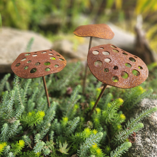Rust-colored metal leaf-shaped garden markers among green plants