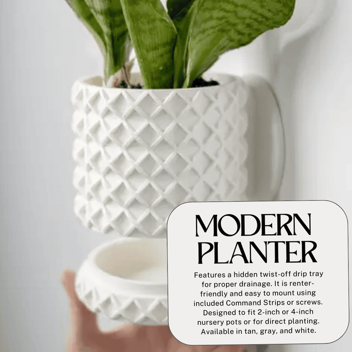 4" Modern Bubble Lattice Wall Planter