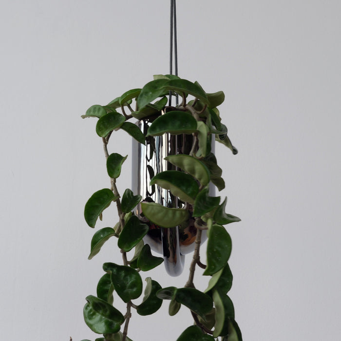 Portico Planter