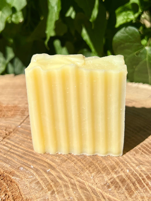 Coconut Olive Tallow Soap - Unscented