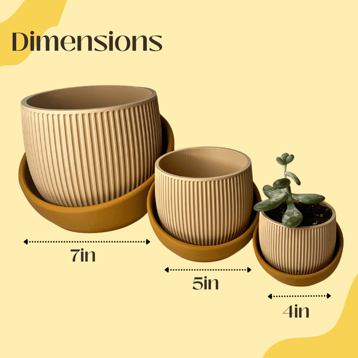 The Eero Planter