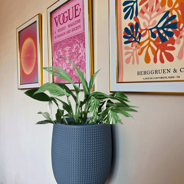 Grid Design Wall Planter with Drip Tray