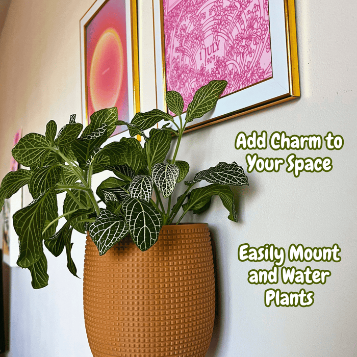 Grid Design Wall Planter with Drip Tray