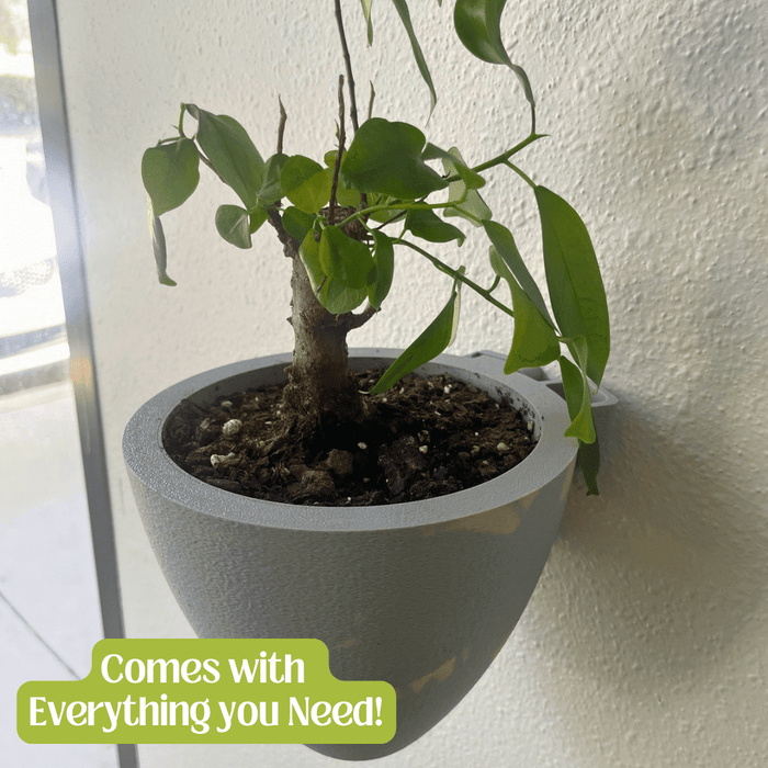 Magic Wall Planters with Internal Water Reservoir