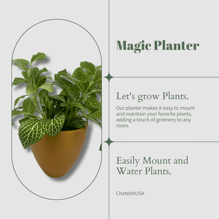 Magic Wall Planters with Internal Water Reservoir