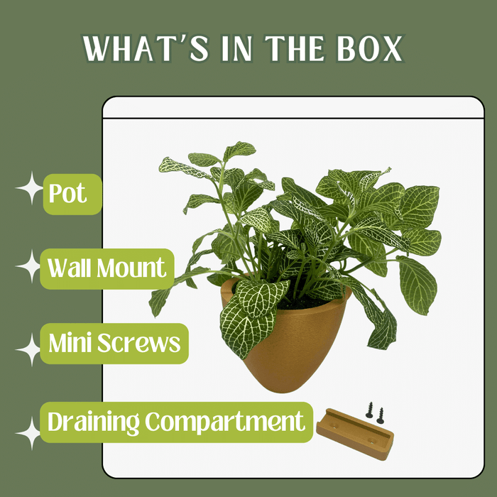 Magic Wall Planters with Internal Water Reservoir