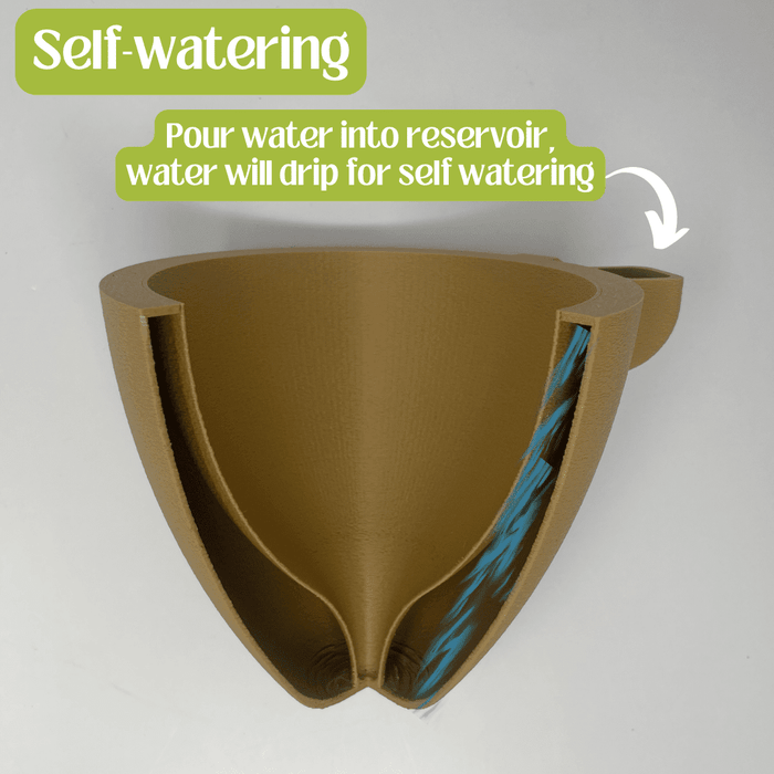 Magic Wall Planters with Internal Water Reservoir
