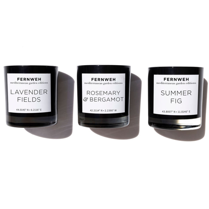 Lavender Fields Scented Soy Candle