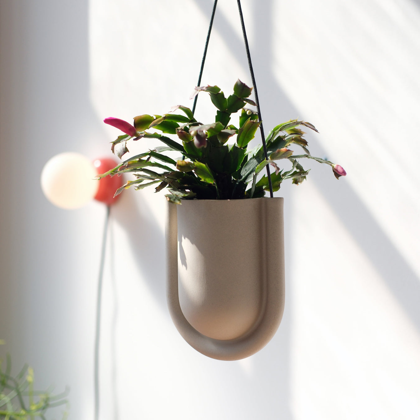 Pots & Planters