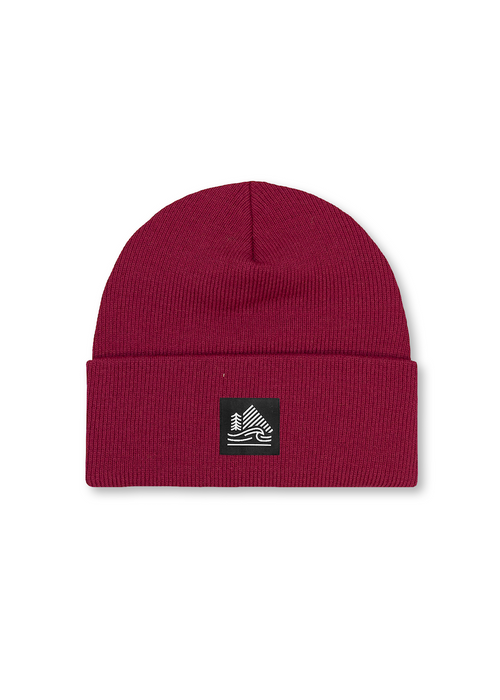 4T2D Cuffed Ribbed Beanie
