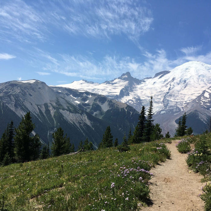 Cascadia Edition: Explore the Pacific Northwest Candle Gift Set