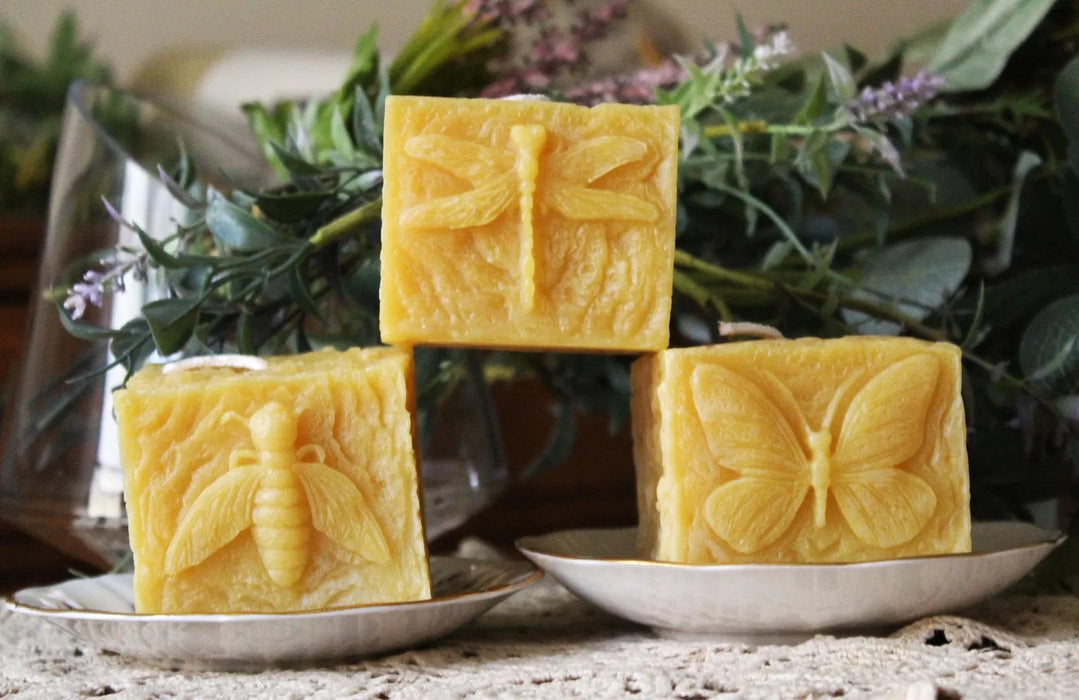 Pollinator Pillar Beeswax Candle Collection