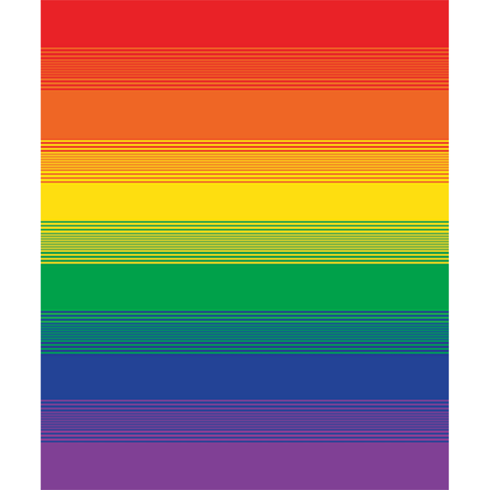 Rainbow Ombré Throw